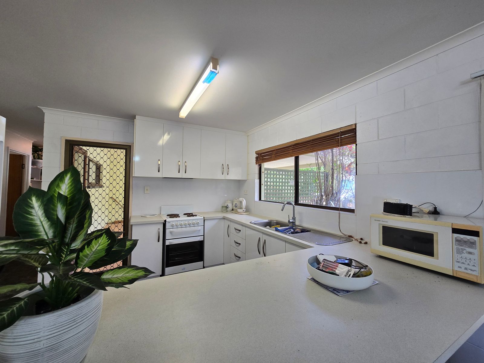 15 Twelfth Avenue, Atherton QLD 4883, Atherton - Thumbnail 2