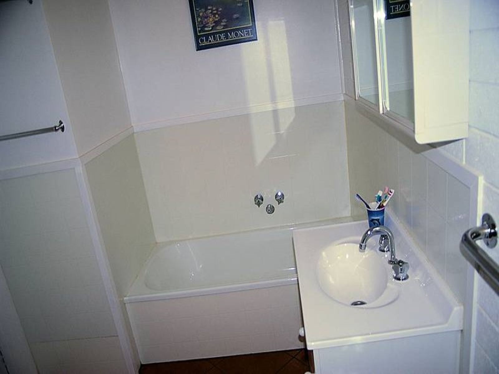 157 Orange Avenue, Mildura - Thumbnail 4