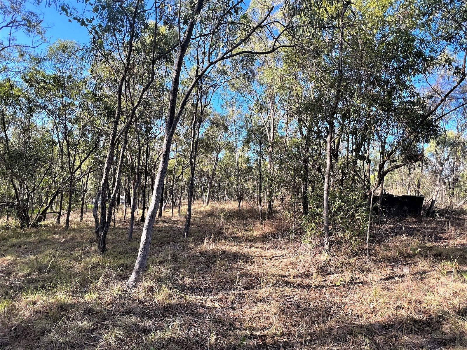 36 Flaggy Rock Road, Clairview QLD 4741, Clairview - Thumbnail 5