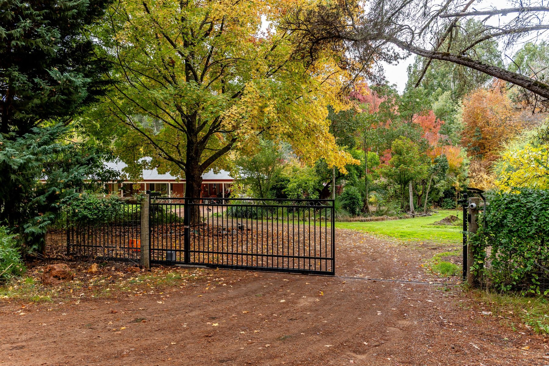 1187 Nanga Road, Dwellingup WA 6213, Dwellingup - Image 1
