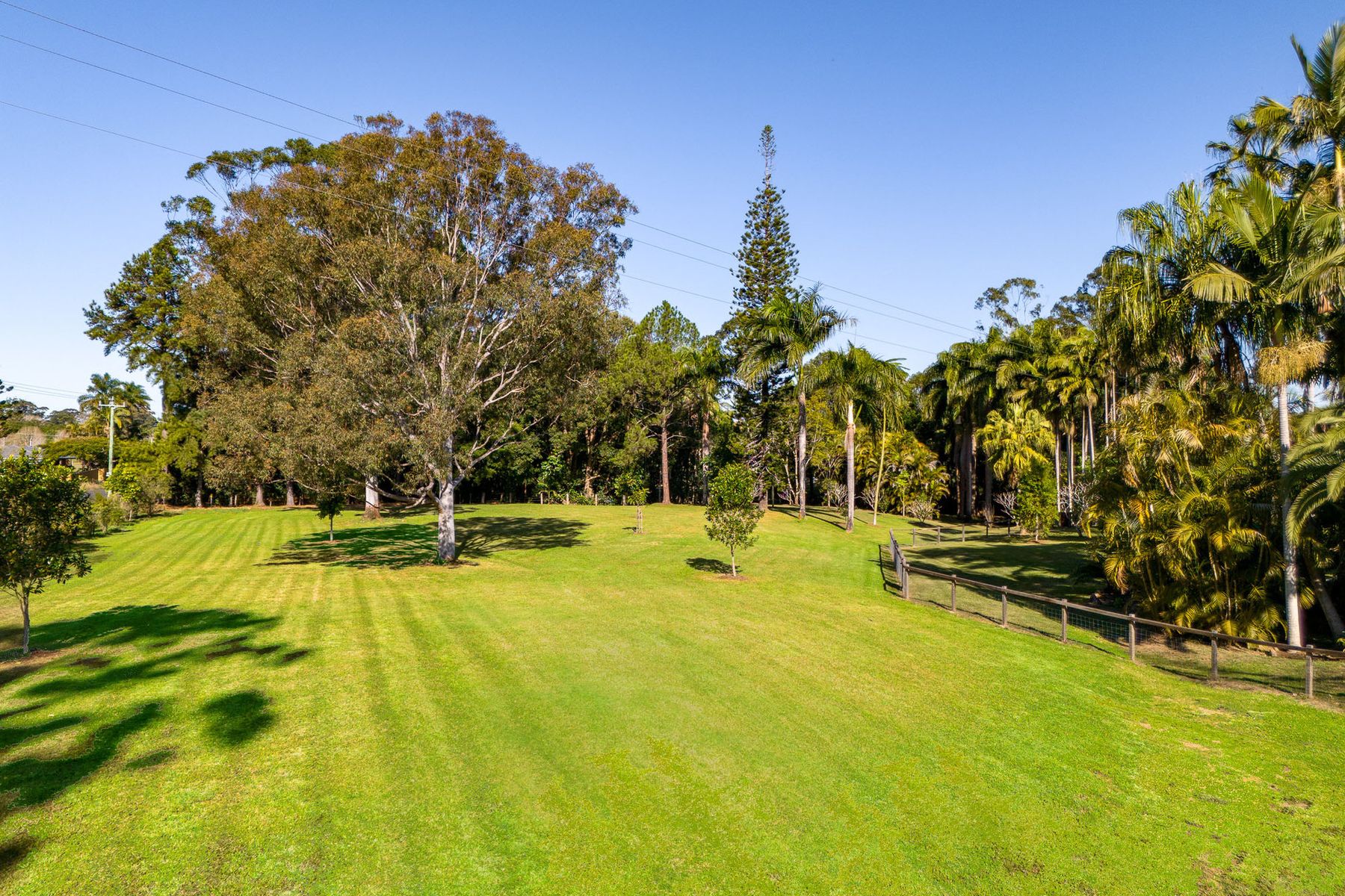 179 Main Arm Road, Mullumbimby NSW 2482, Mullumbimby - Thumbnail 7