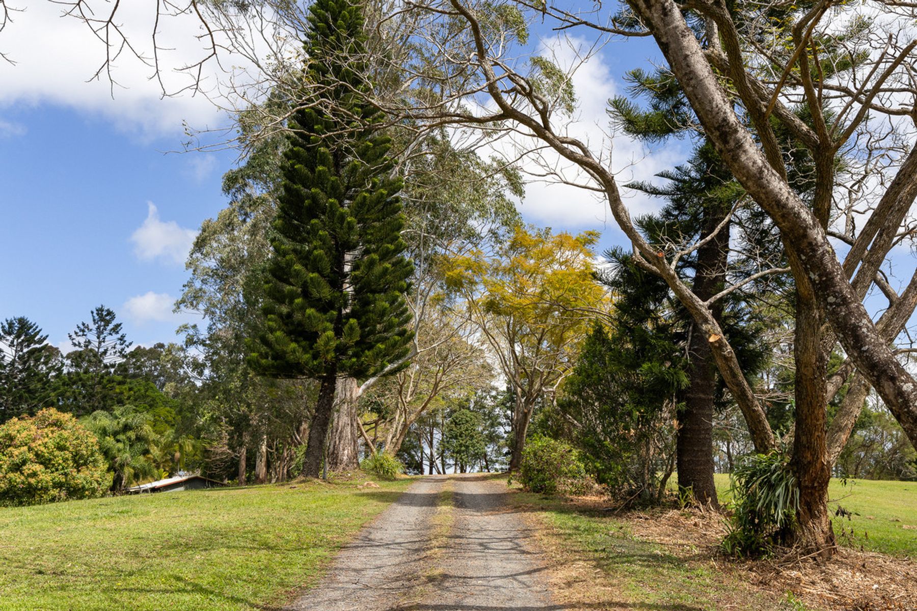 33 Irambang Street, Nelson Bay NSW 2315, Nelson Bay - Thumbnail 5