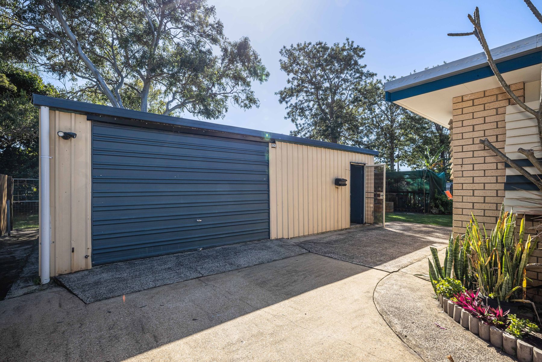 79 Bellara Street, Bellara QLD 4507, Bellara - Thumbnail 3