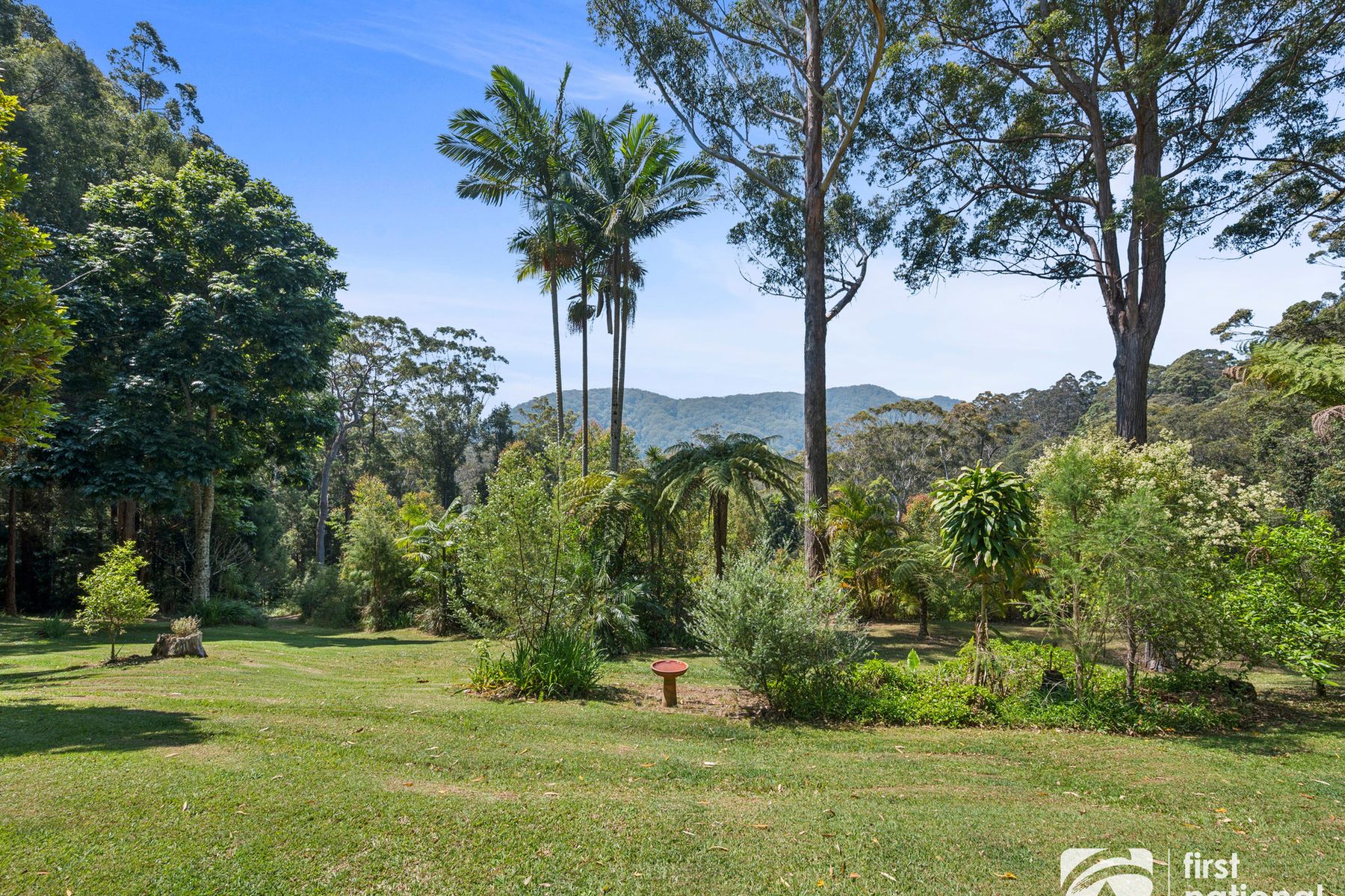 164B Fridays Creek Road, Upper Orara NSW 2450, Upper Orara - Thumbnail 2