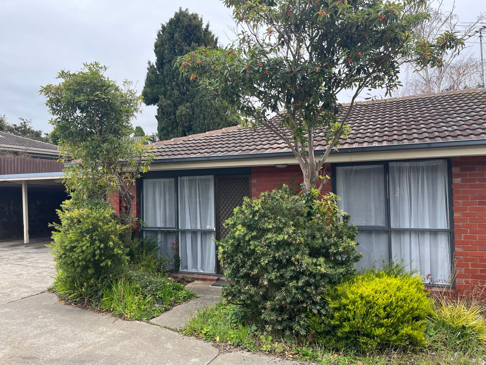 4/45 Skene Street, Newtown VIC 3220