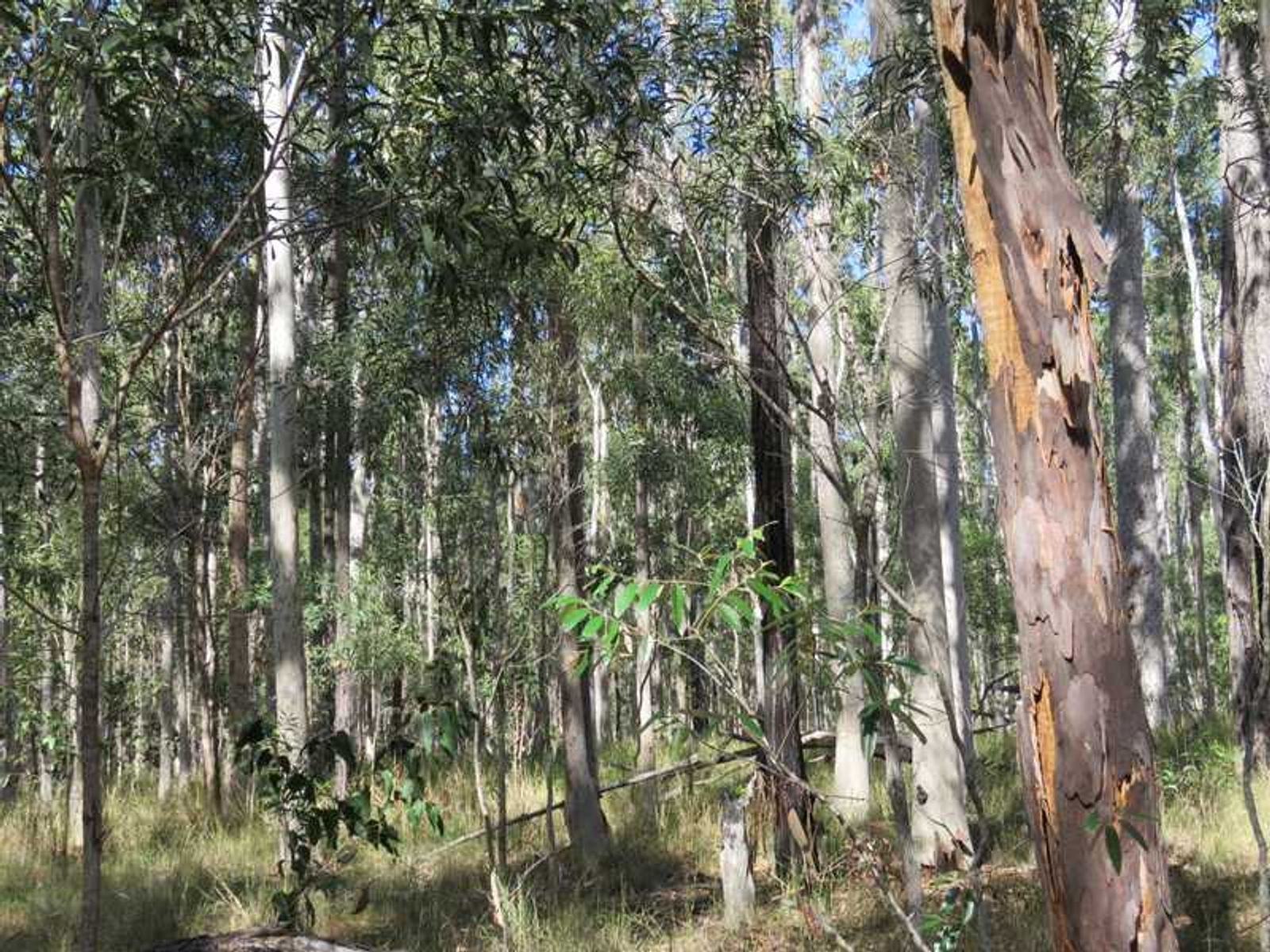 30 Hanna's Road, Gibberagee, NSW 2469, Gibberagee - Thumbnail 8