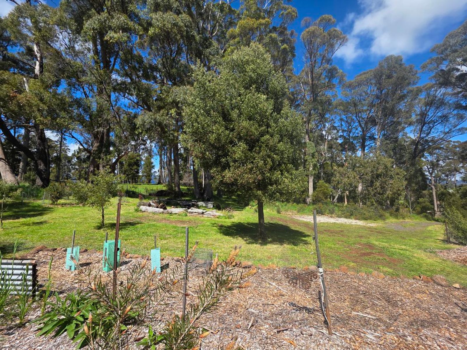 Mole Creek TAS 7304, Mole Creek - Thumbnail 8
