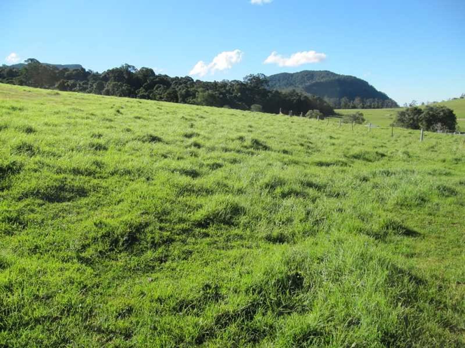 2673 Spring Creek Road, Killarney, QLD 4373, The Head - Thumbnail 7