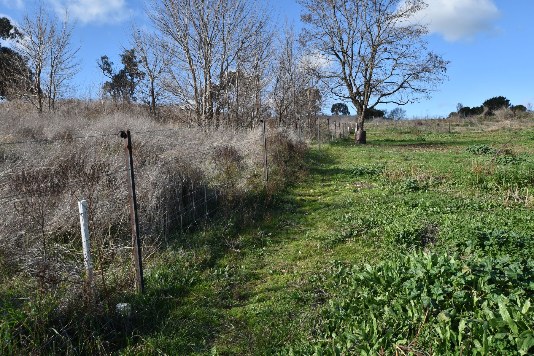 Lots 5 & 6 Renwick Street, Jugiong NSW 2726, Jugiong - Thumbnail 5