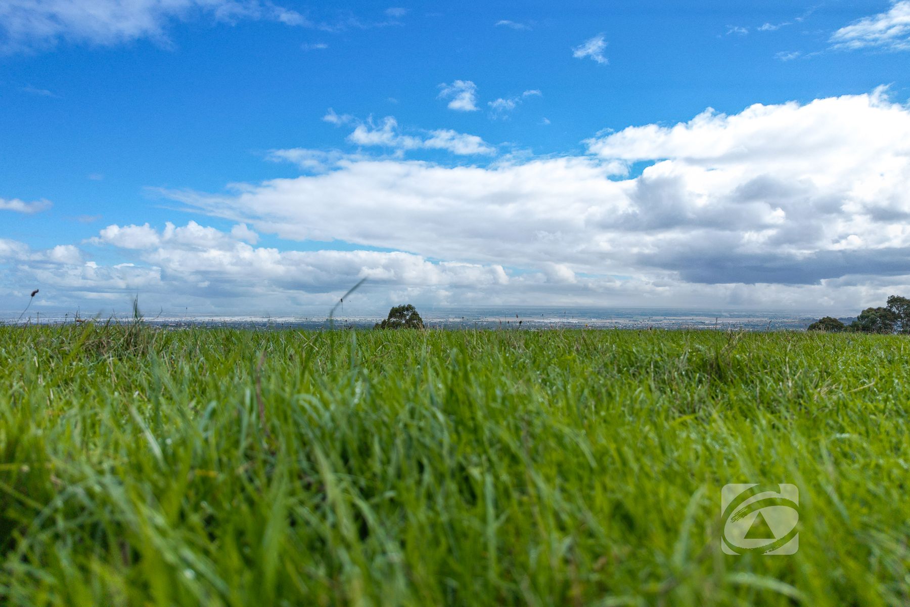 Lot 1 67 Mount Shamrock Road, Pakenham VIC 3810, Pakenham - Thumbnail 5