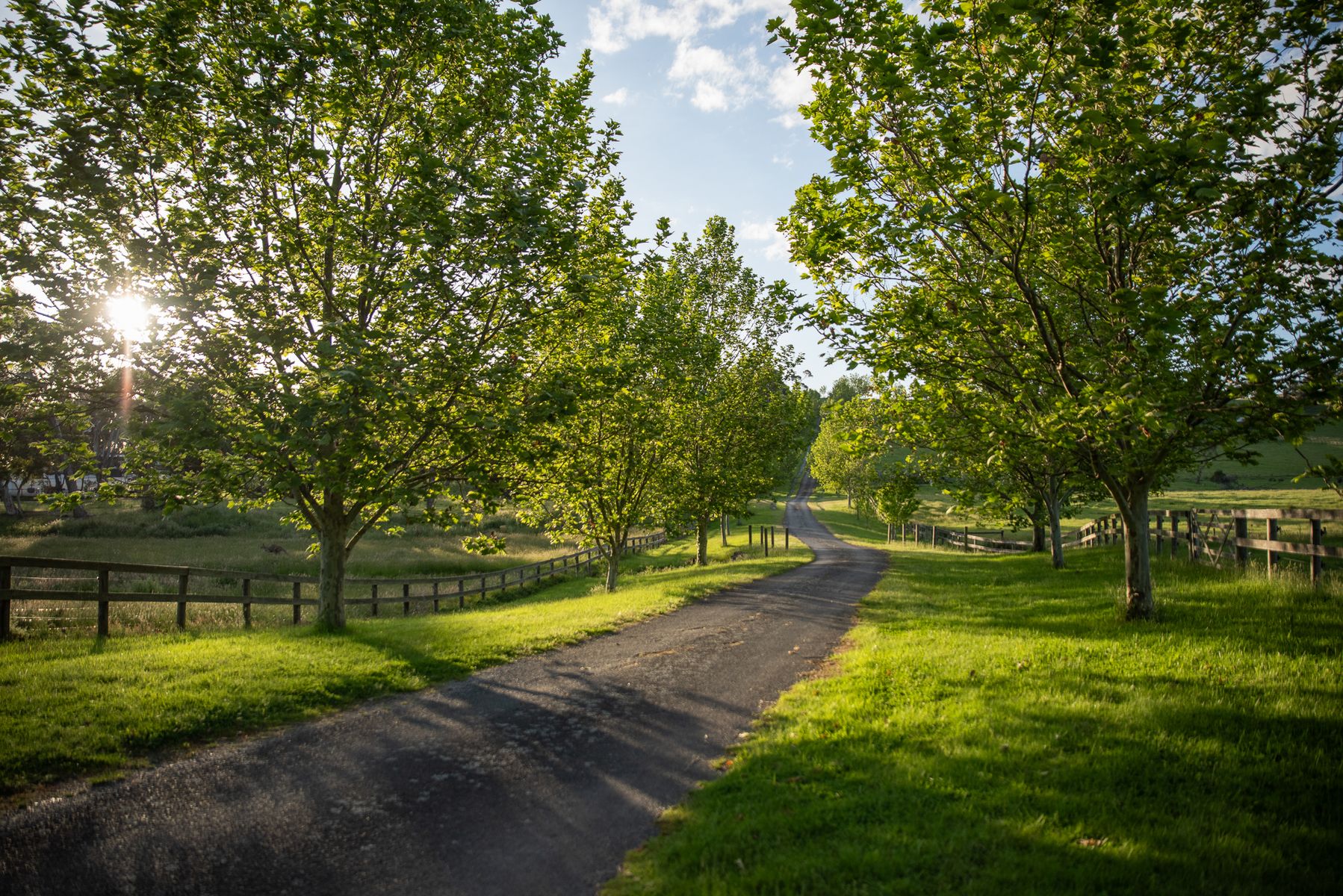 13 Grand Ridge Way, Sunbury, Sunbury - Thumbnail 4