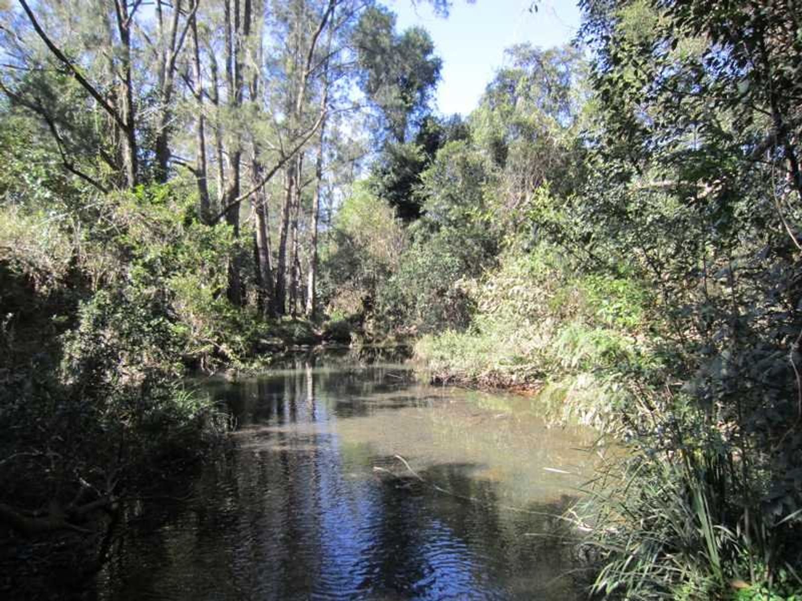 162 Blue Knob Road, Nimbin - Thumbnail 8