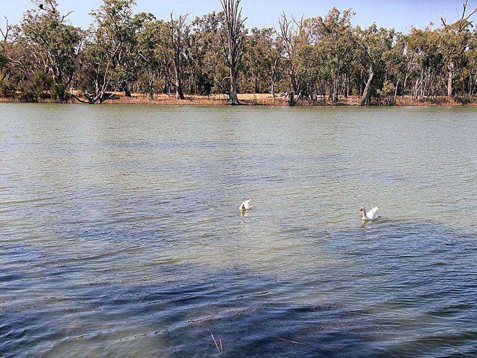 24 River Drive, Buronga - Image 1