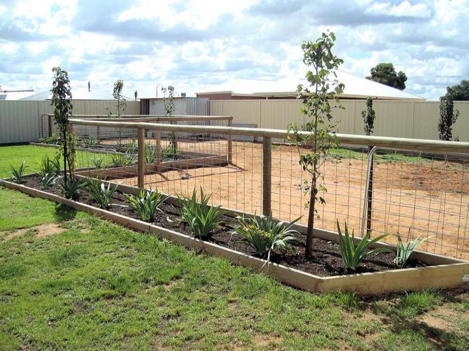 8 Sherring Way, Mildura - Thumbnail 7