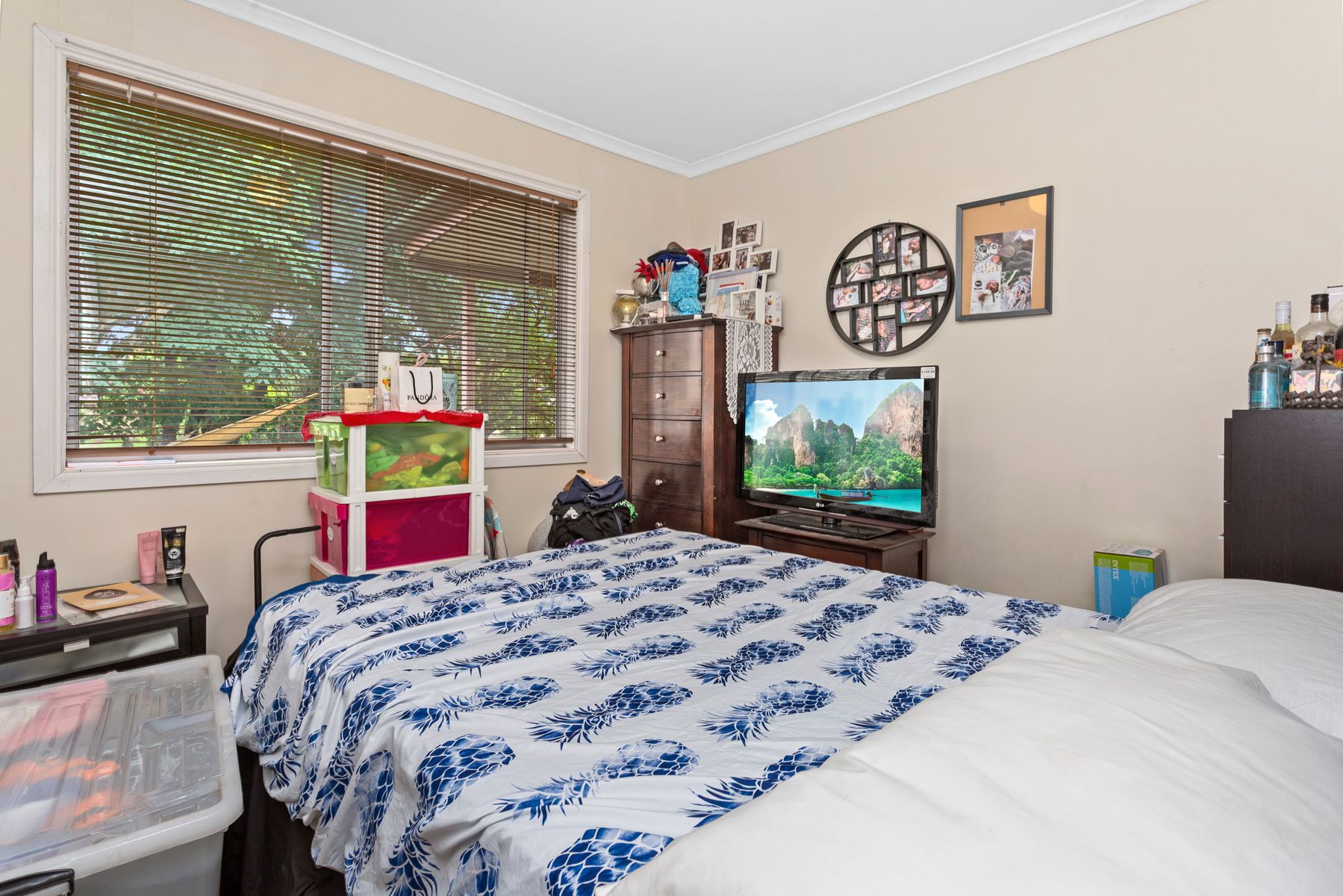 11 Bambil Street, Crestmead QLD 4132, Crestmead - Thumbnail 5