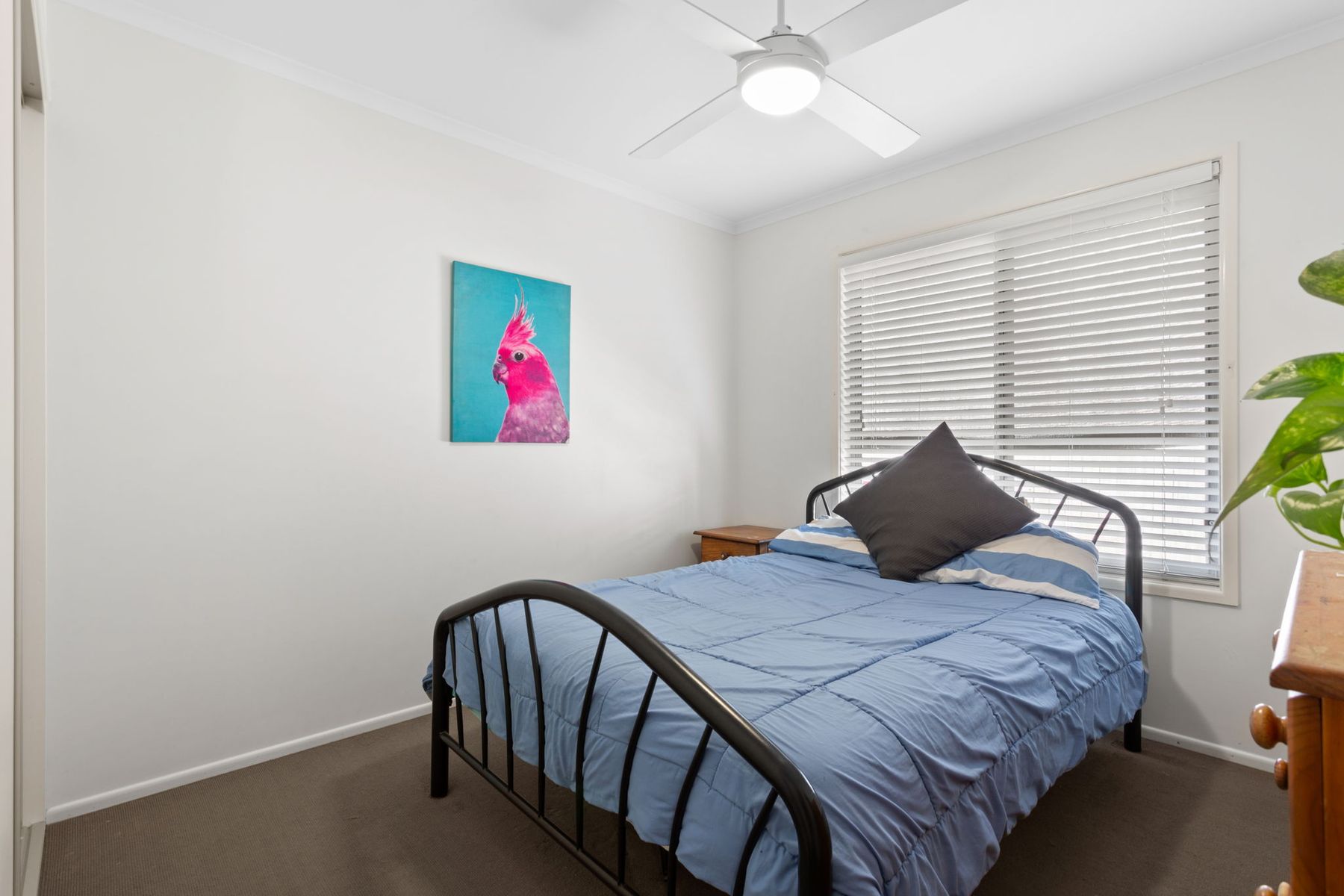 3 Wickerson Crescent, Bli Bli QLD 4560, Bli Bli - Thumbnail 8