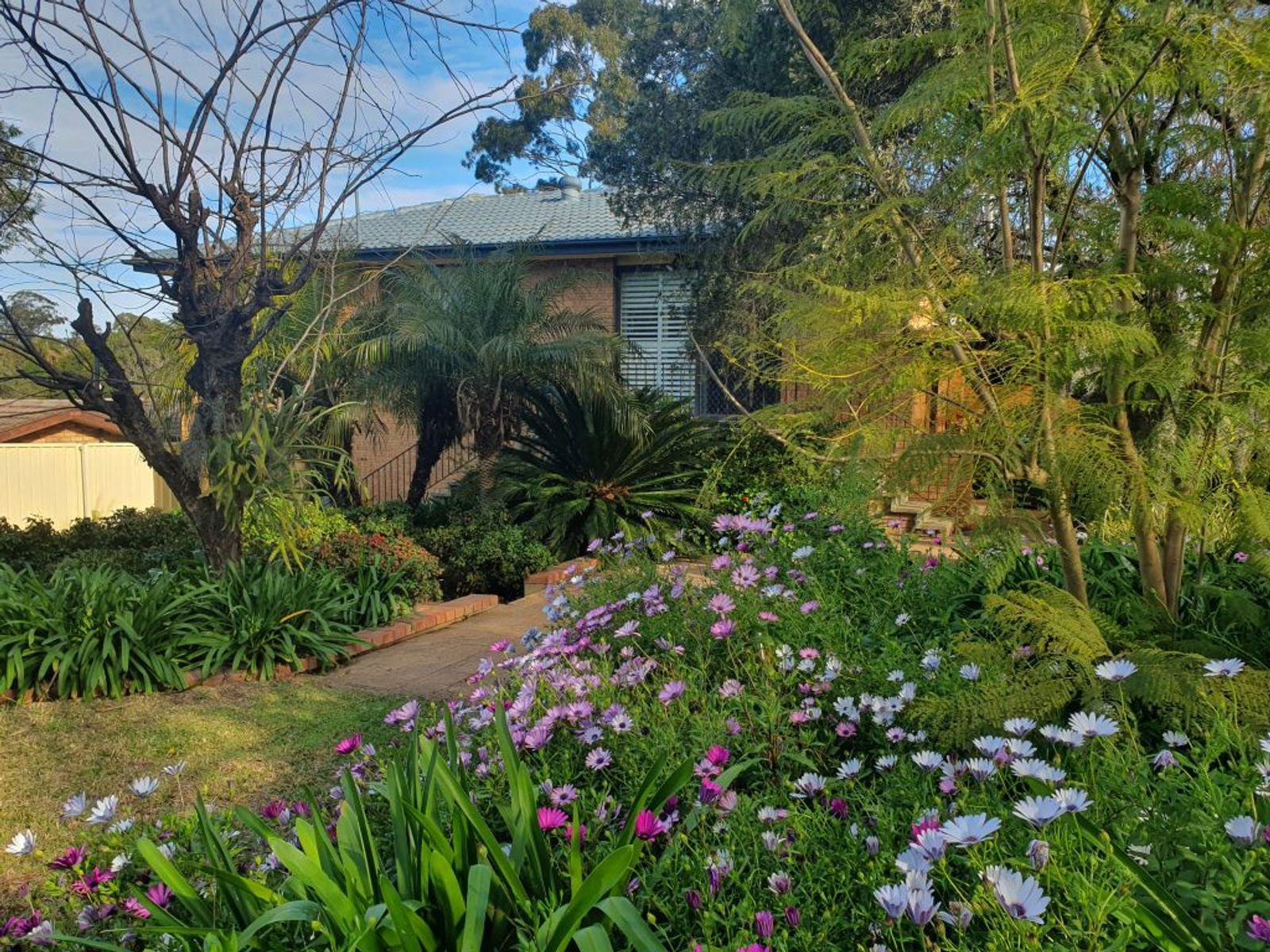 6 McClintock Drive, Muswellbrook NSW 2333, Muswellbrook - Thumbnail 2
