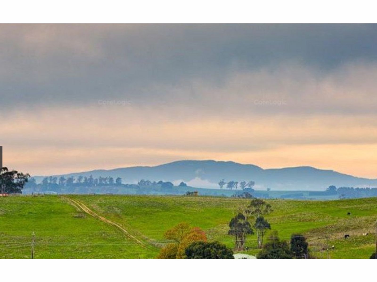 21 Paulan Court, Warragul, VIC 3820, Warragul - Thumbnail 3