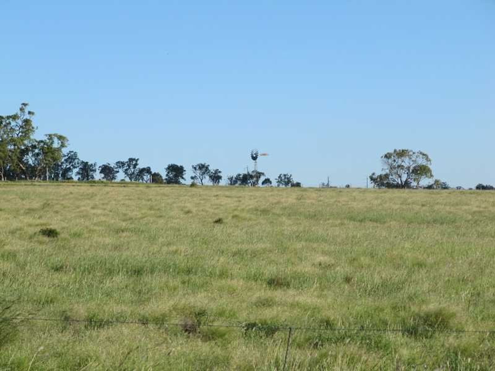 Warwick QLD 4370, Warwick - Thumbnail 7