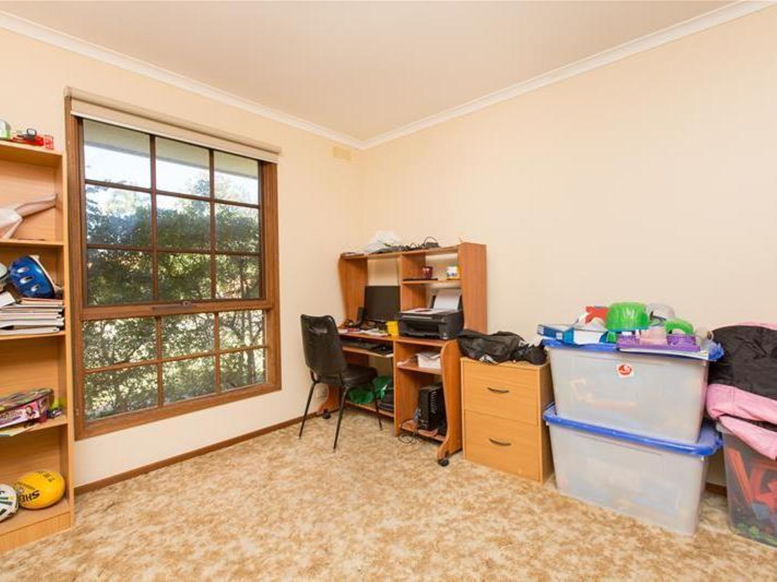 22 Kiata Drive, Mildura - Thumbnail 7