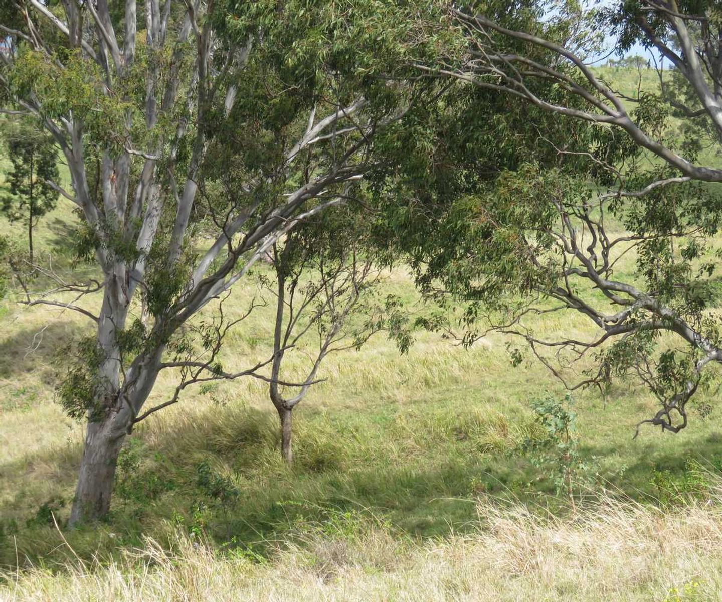 41 Battistuzzi Road, Spring Grove - Thumbnail 5
