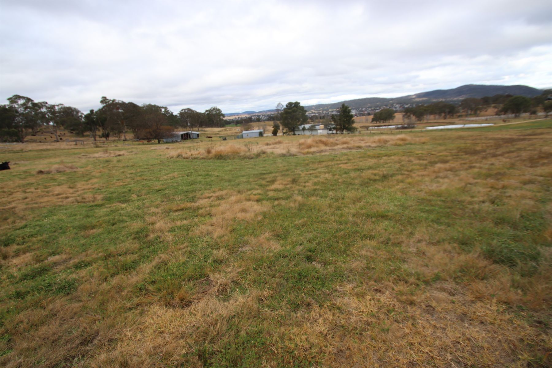 112 Sunnyside Loop Road, Tenterfield NSW 2372, Tenterfield - Thumbnail 7