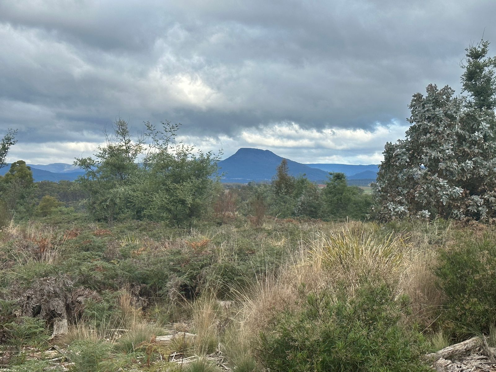 Lot 2 Wadleys Road, Reedy Marsh - Image 1