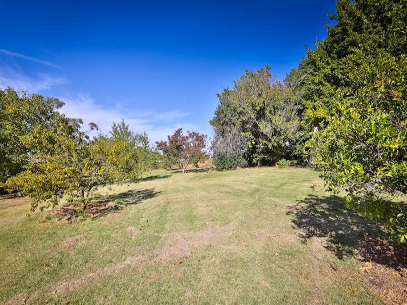 40 Swan Street, Irymple - Thumbnail 8