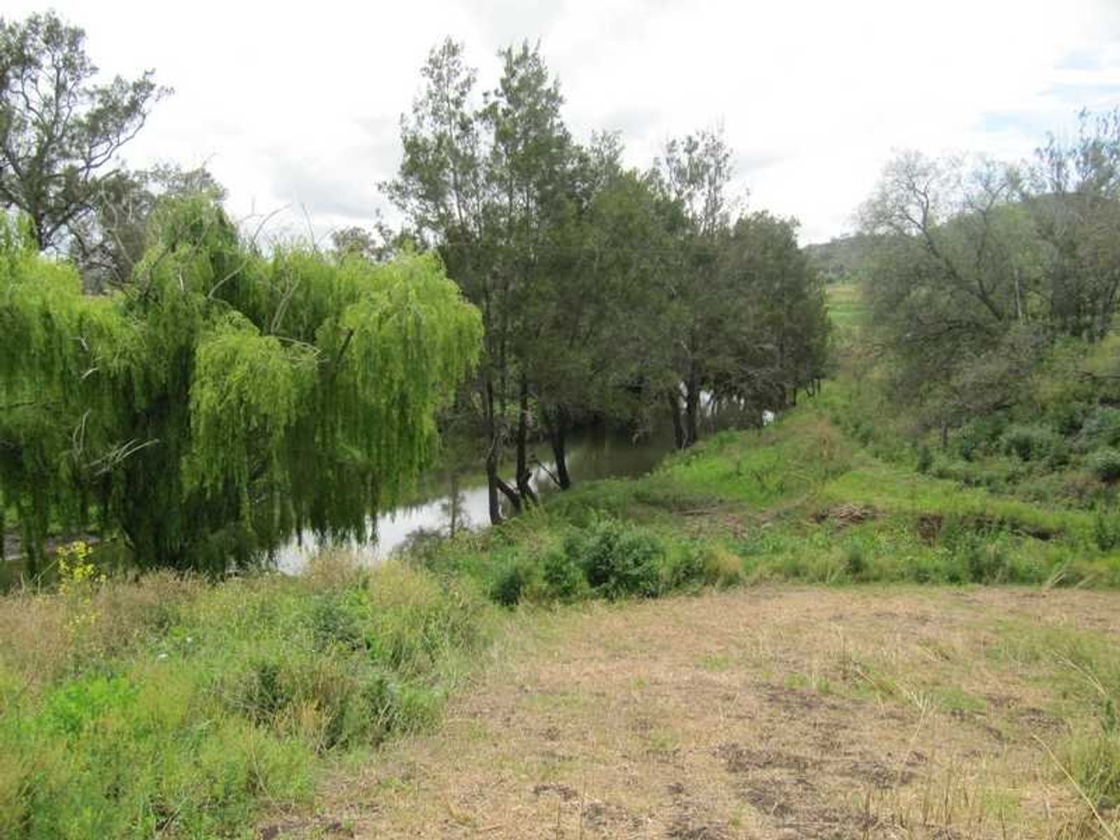 Allora QLD 4362, Allora - Thumbnail 4