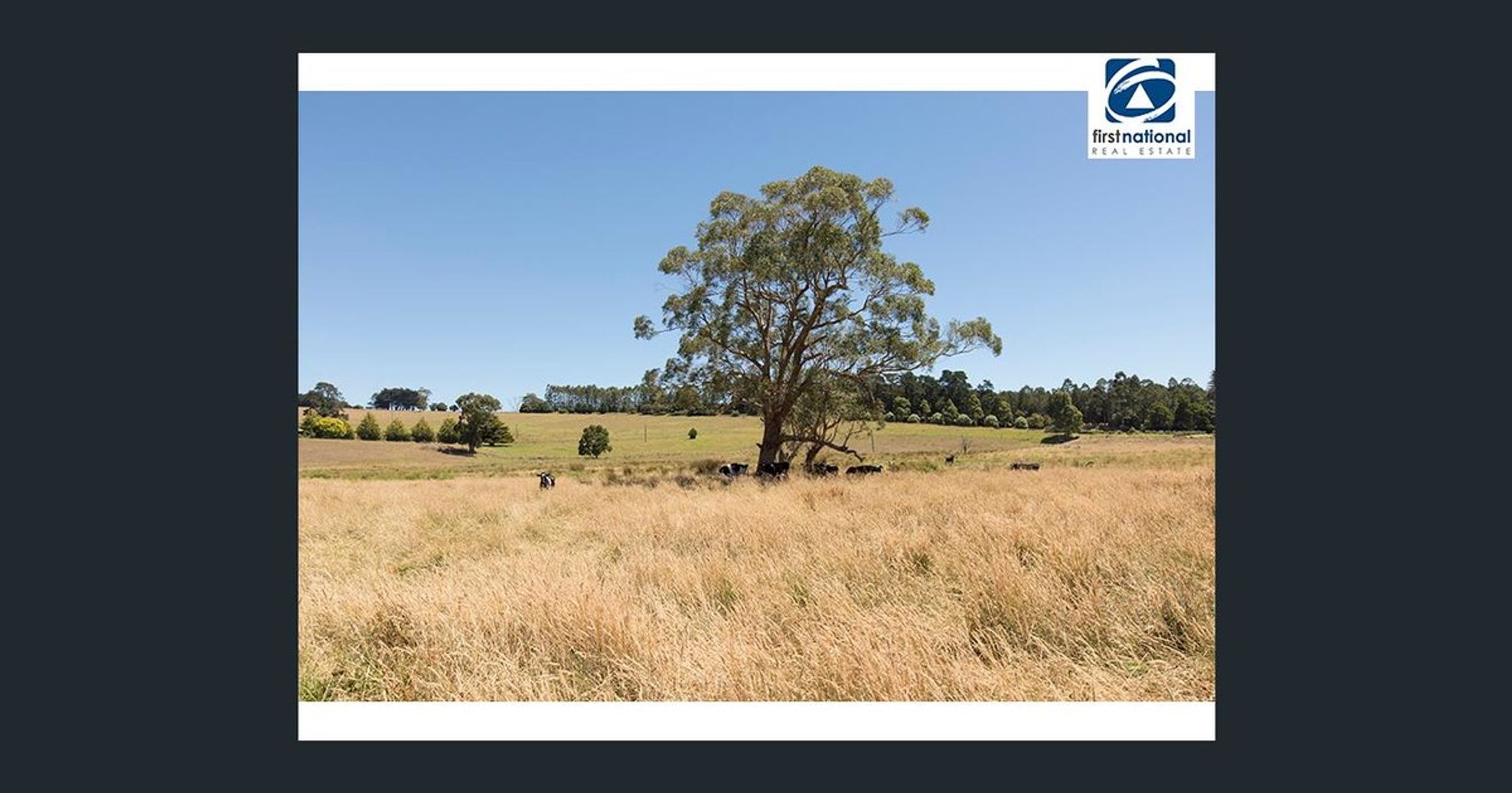 Korumburra Warragul Road, Warragul South VIC 3821, Warragul South - Thumbnail 2