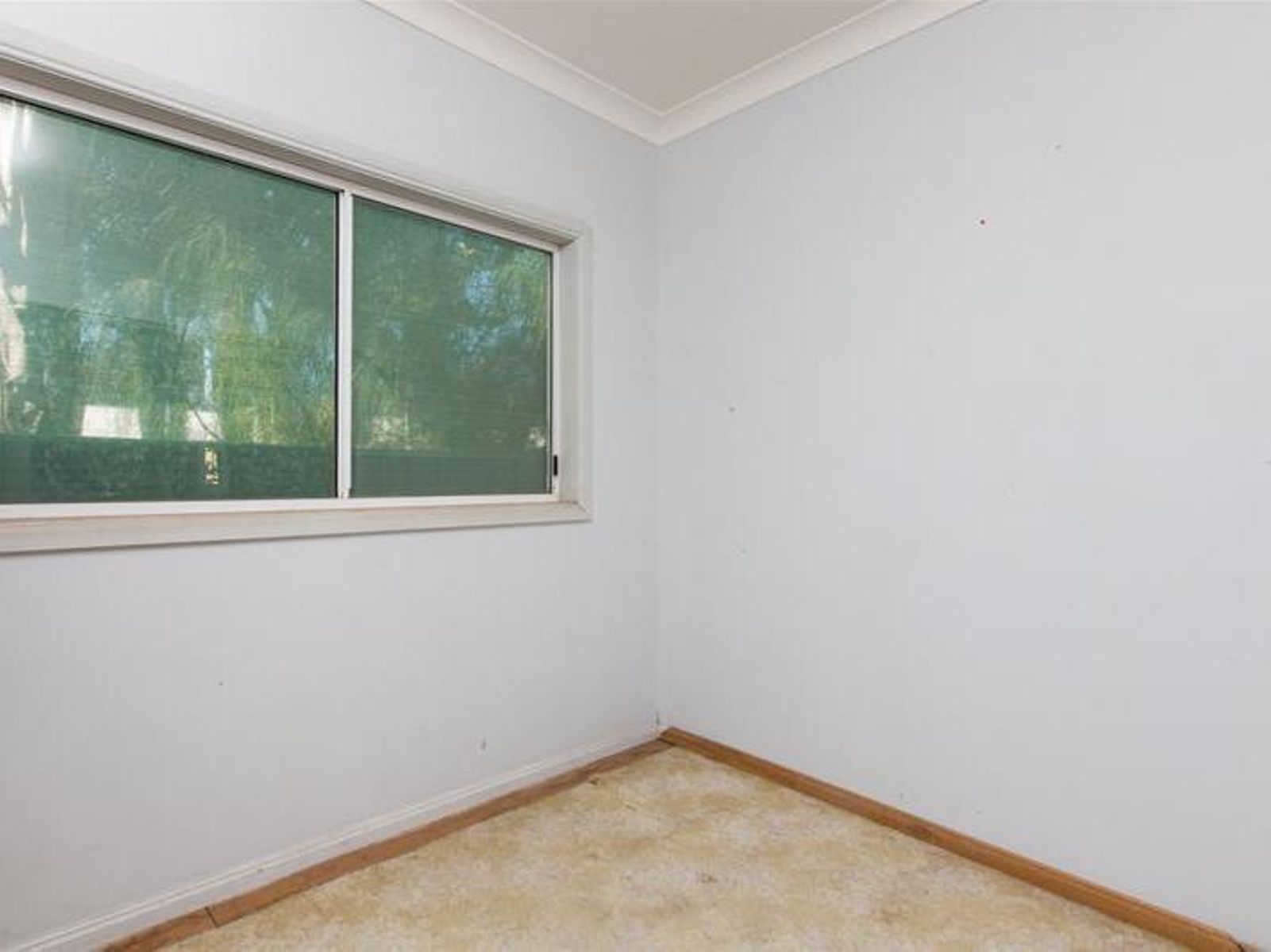 59 Magnolia Avenue, Mildura - Thumbnail 5