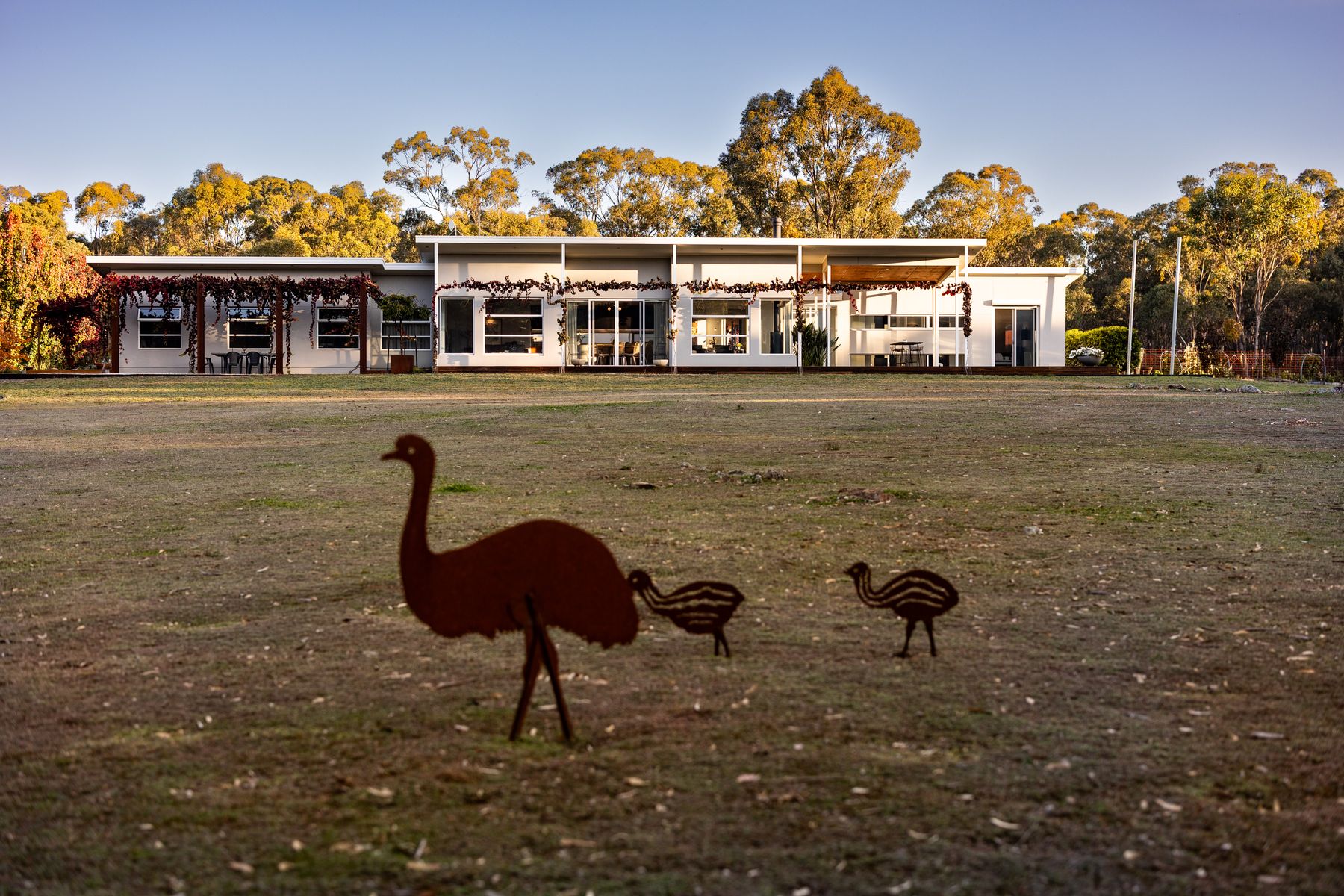 59 Browns Lane, Emu Creek VIC 3551, Emu Creek Vic 3551 - Image 1