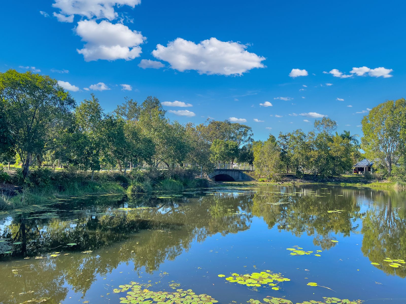 34/2 Springhill Drive, Sippy Downs QLD 4556, Sippy Downs - Thumbnail 2