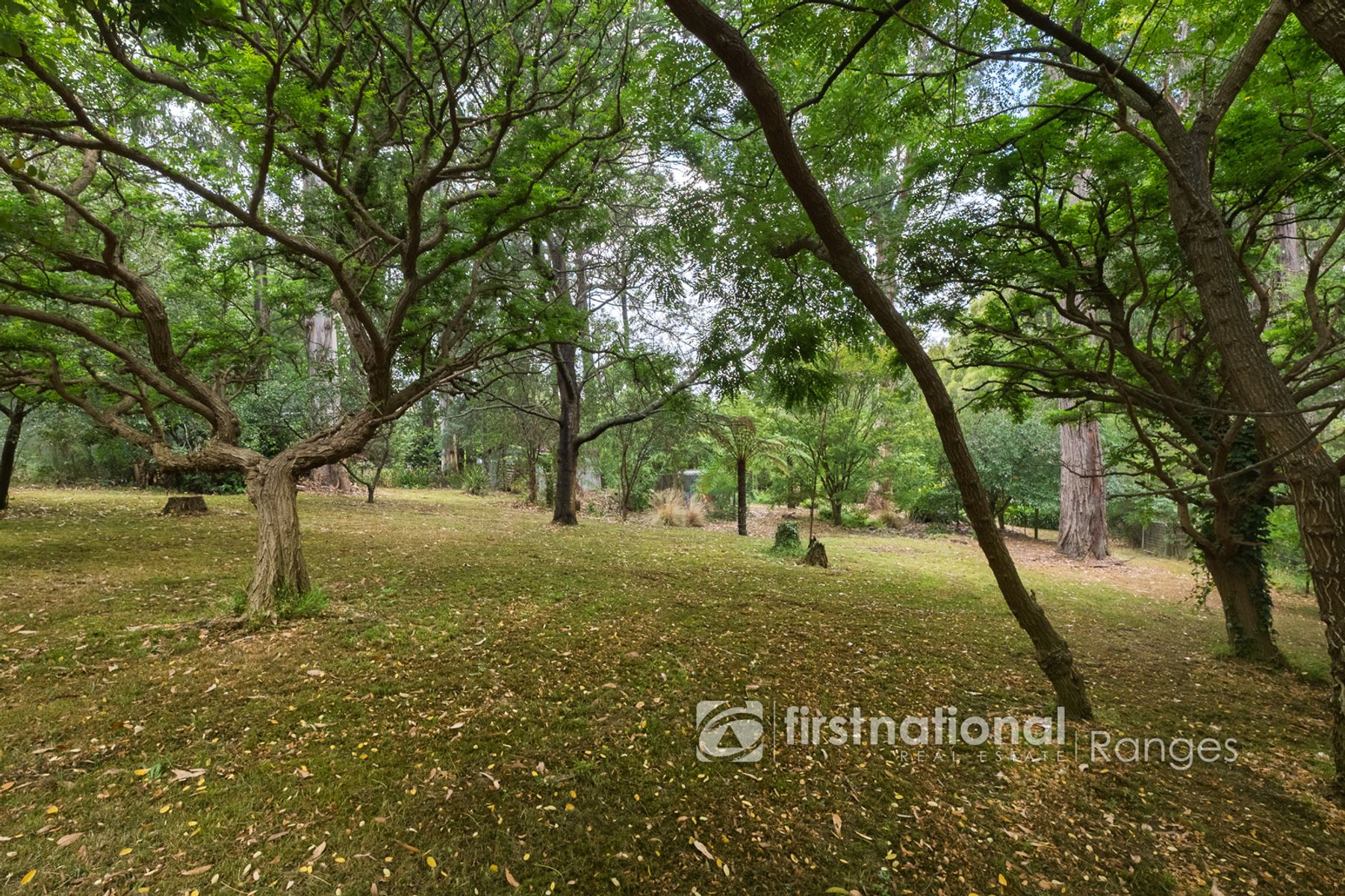 210 Gembrook Road, Gembrook VIC 3783, Gembrook - Thumbnail 3