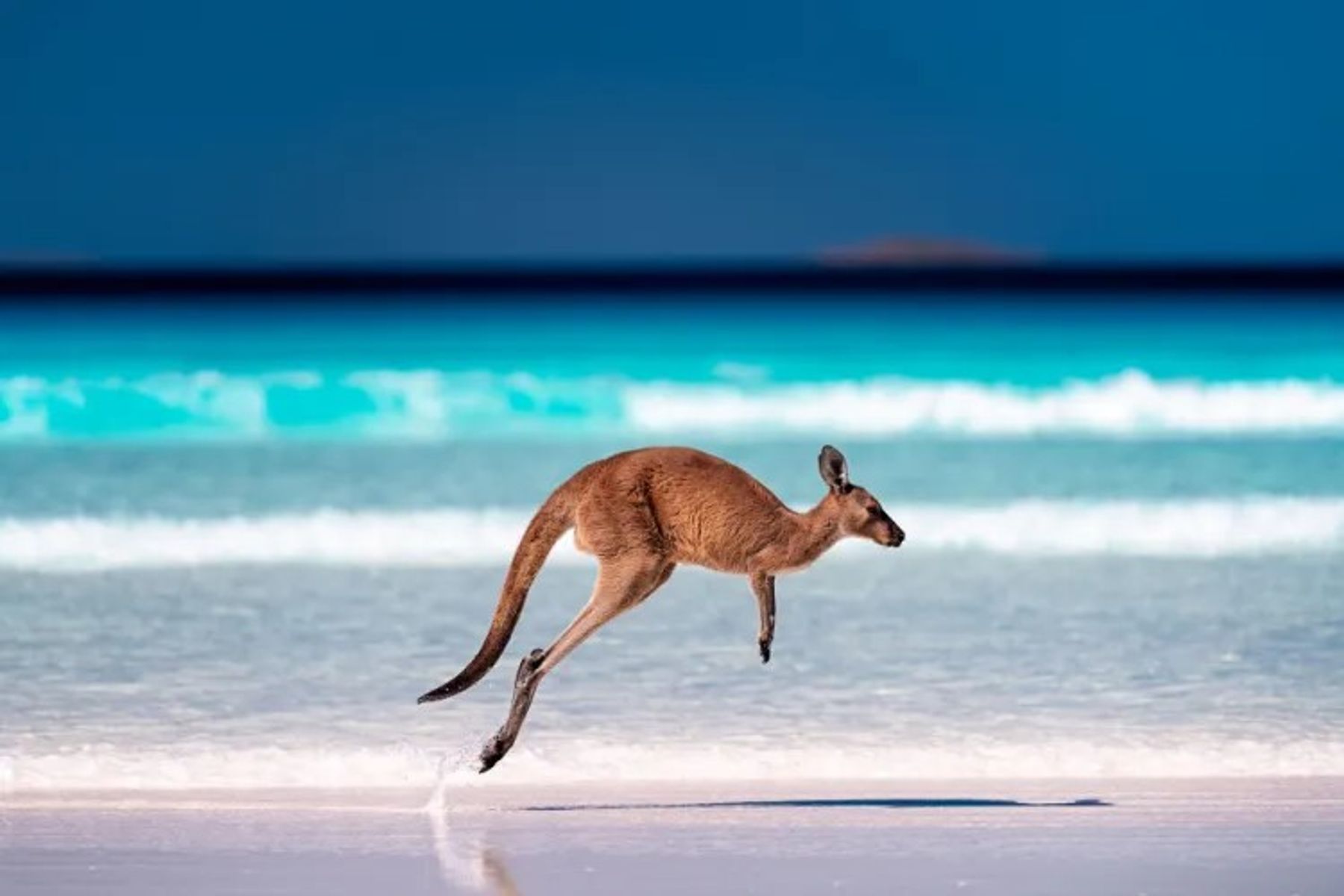 Hottest Summer Holiday Destinations in Australia