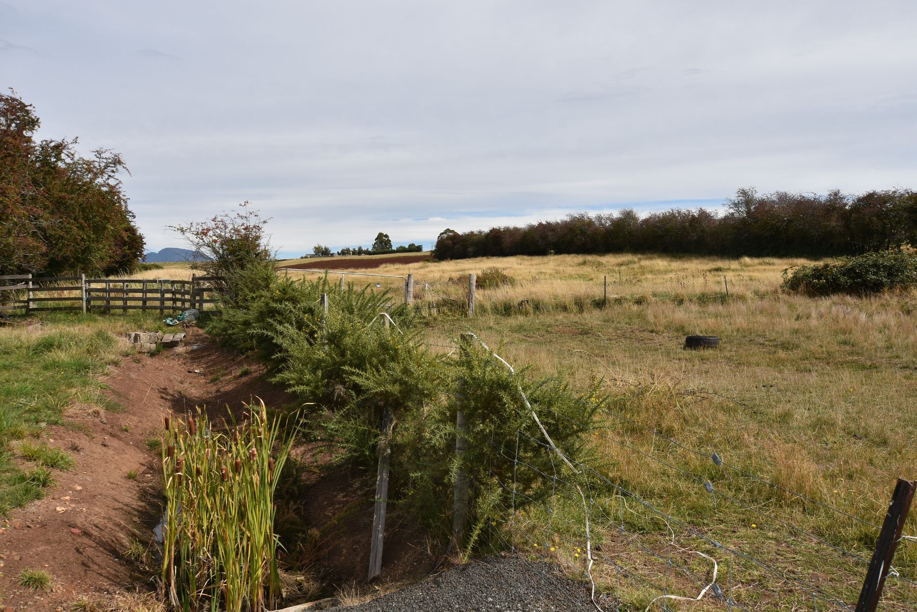 Lot 2 Robert street, Exton TAS 7303, Exton - Thumbnail 4