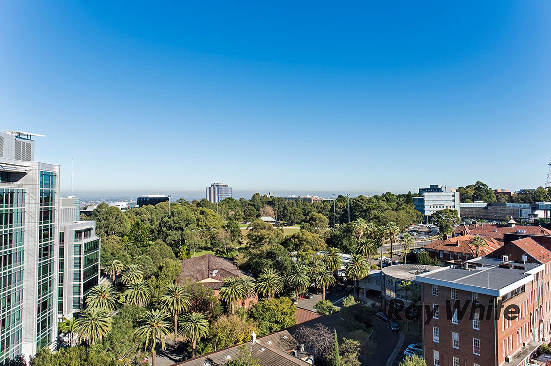 1009/3 Herbert Street, St Leonards NSW 2065