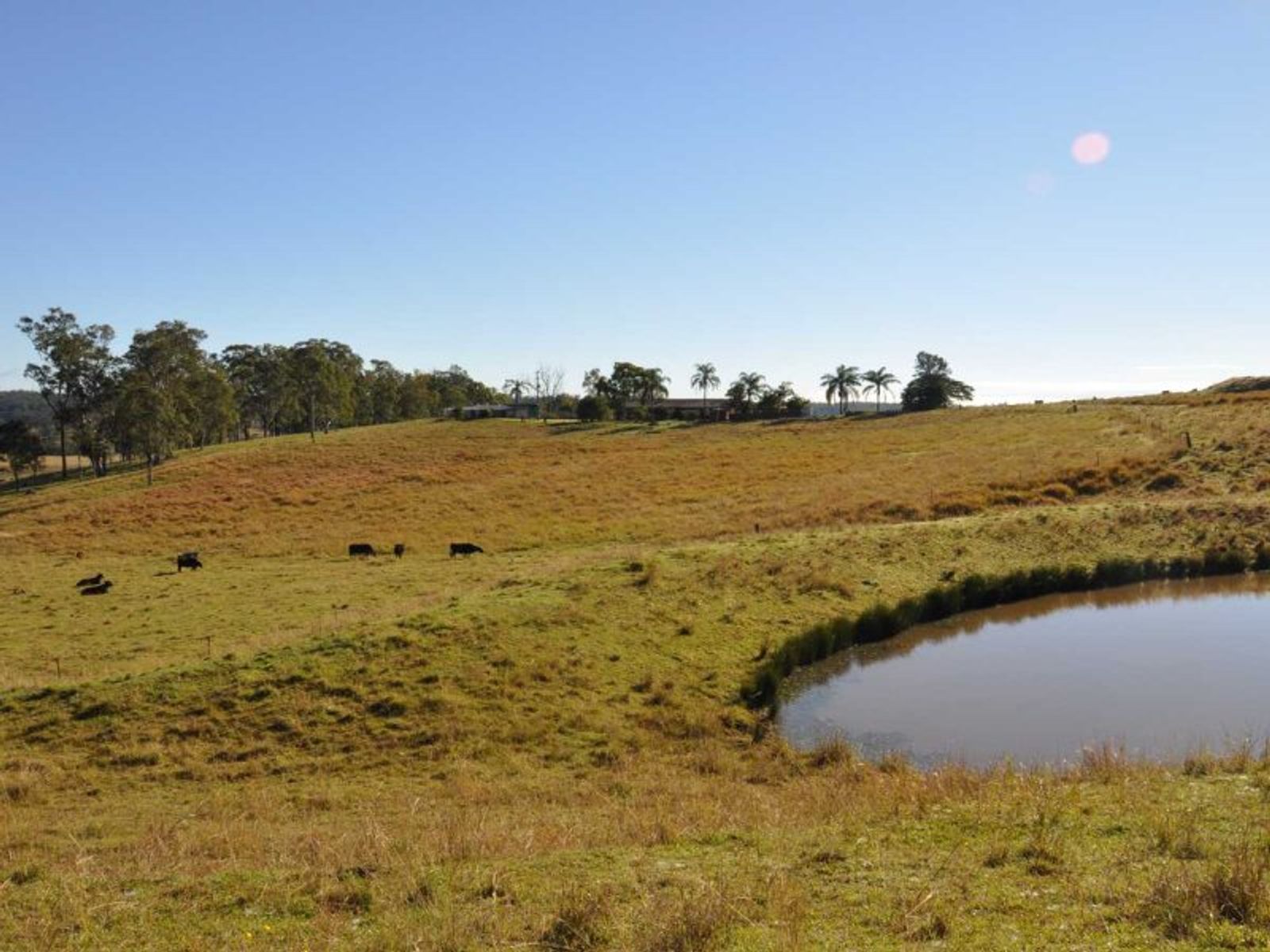 700 Old Dyraaba Rd, Woodview - Thumbnail 4