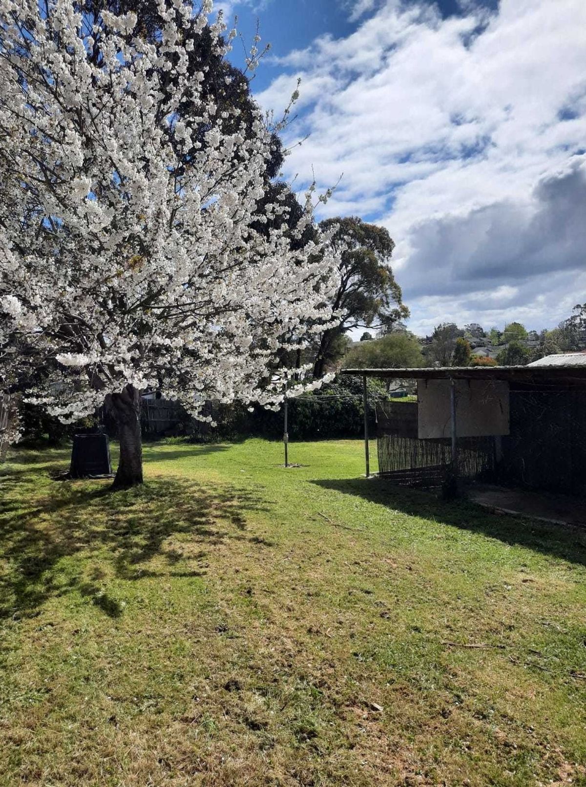 49 Butters Street, Morwell VIC 3840, Morwell - Thumbnail 7