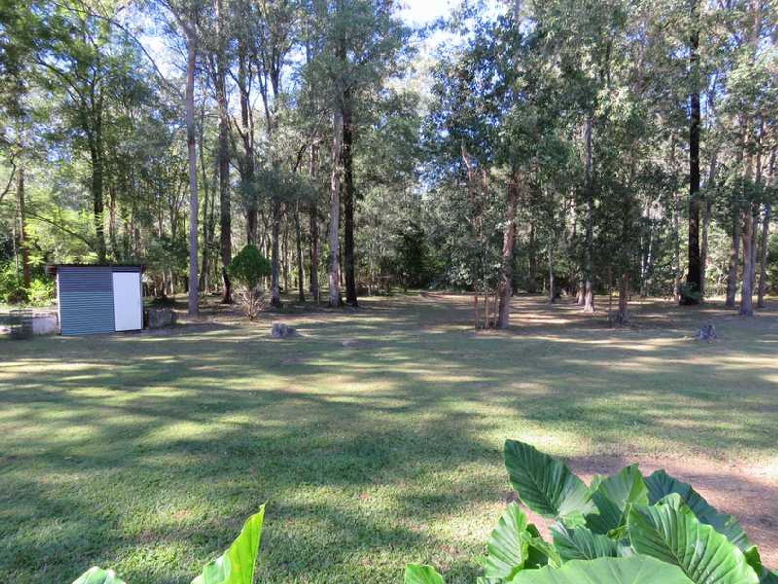 475 Elliotts Road, Myrtle Creek, NSW 2469, Myrtle Creek - Thumbnail 5