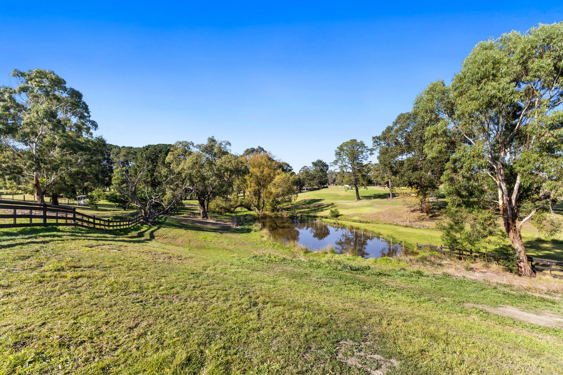 81 Alamere Drive, Traralgon VIC 3844, Traralgon - Thumbnail 4