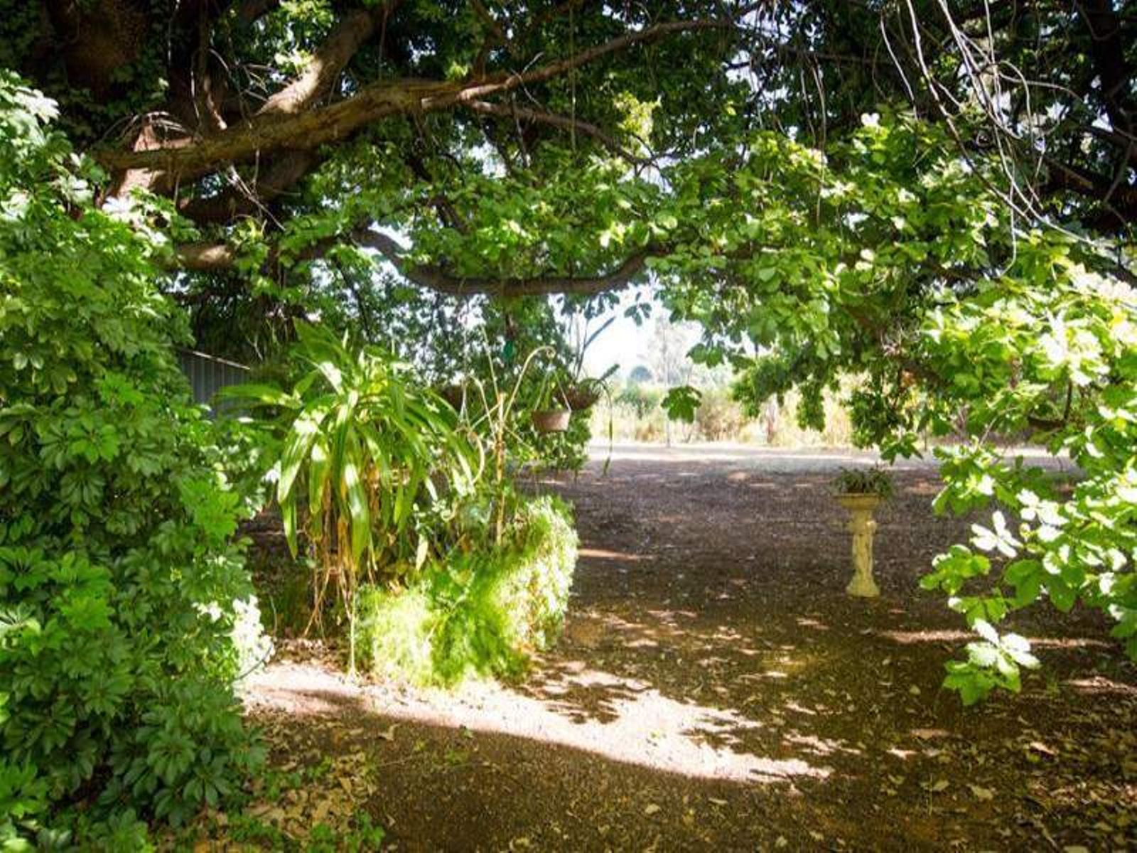 40 Swan Street, Irymple - Thumbnail 5