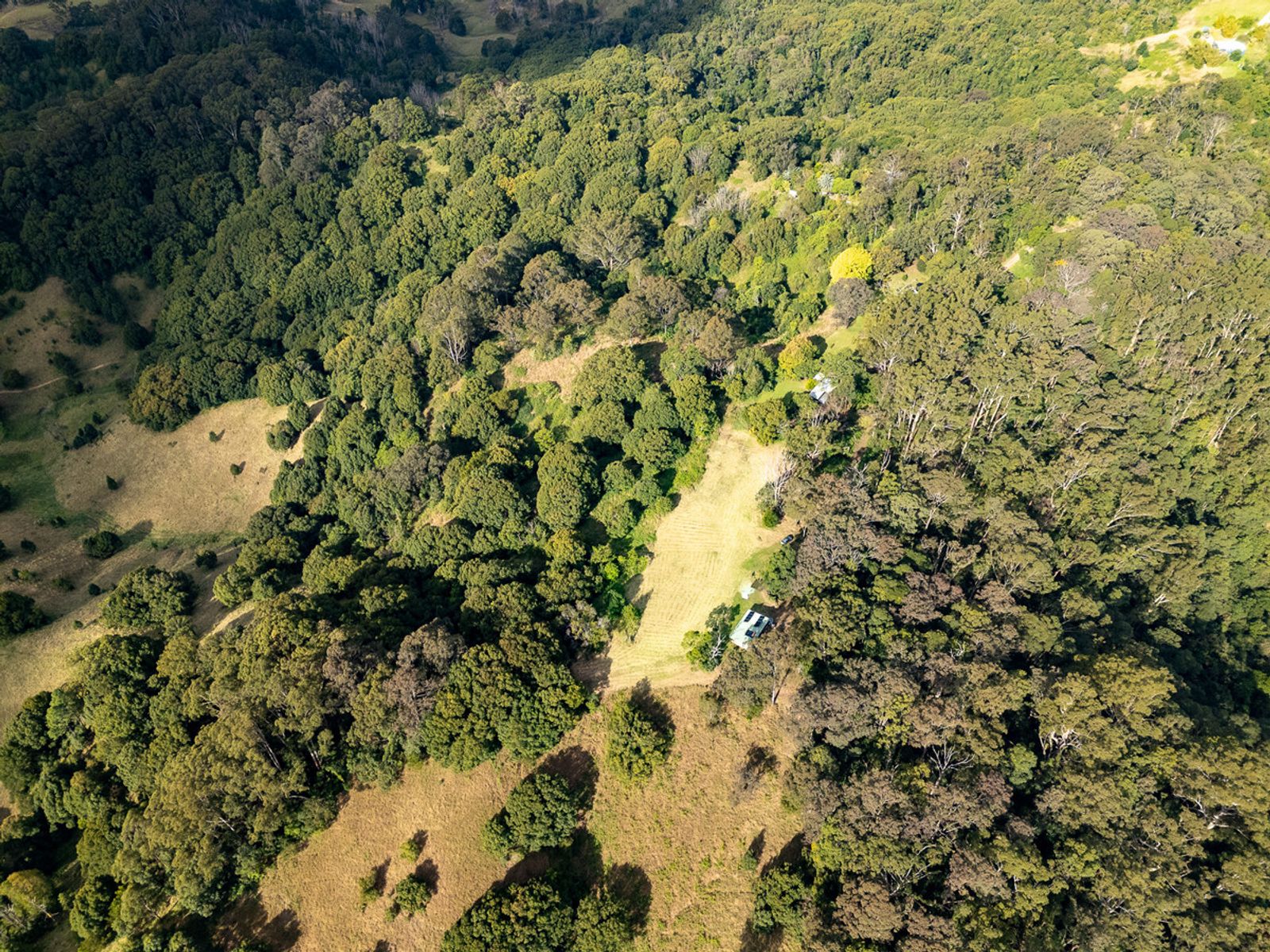 Lot 12/470 Main Arm Road, Mullumbimby NSW 2482, Mullumbimby - Thumbnail 3