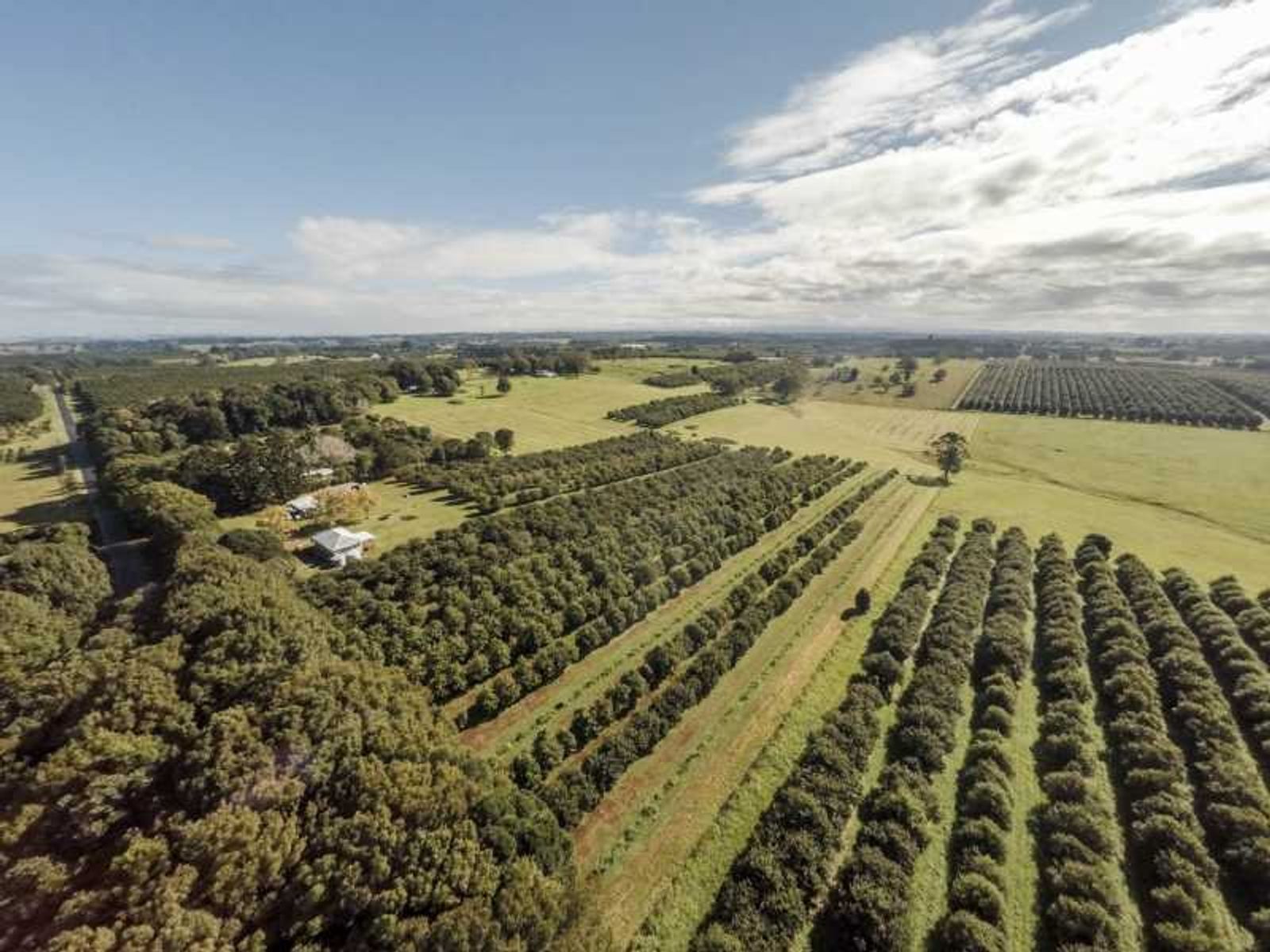 250 Dalwood Road, Dalwood - Thumbnail 4
