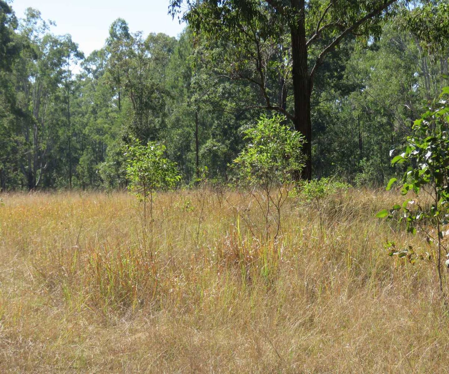 Lots 24 & 27 Deadman Creek Road, Tabulam, Tabulam - Thumbnail 7