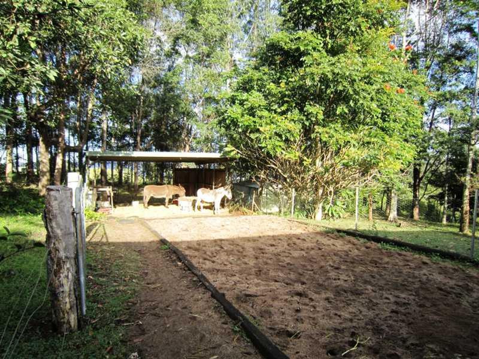 5 Cox Road, Koonorigan - Thumbnail 6