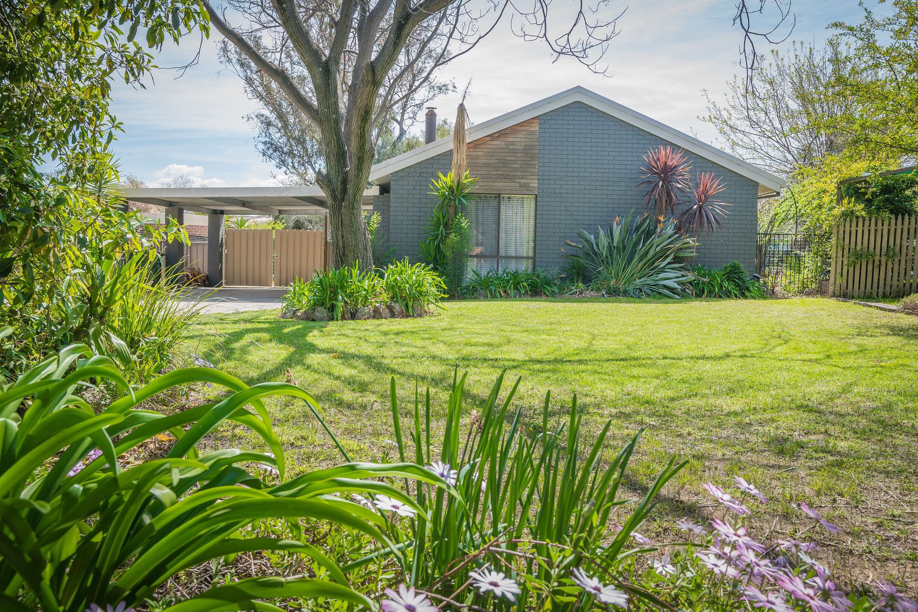 9 Eucalypt Court, Thurgoona, NSW 2640, Thurgoona - Image 1