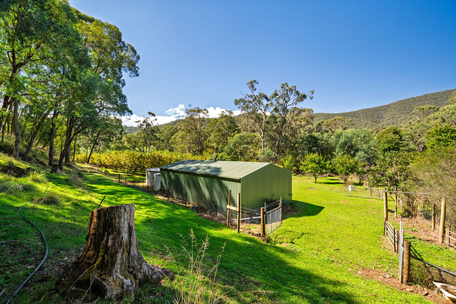 828 Morses Creek Road, Wandiligong VIC 3744, Wandiligong - Image 1