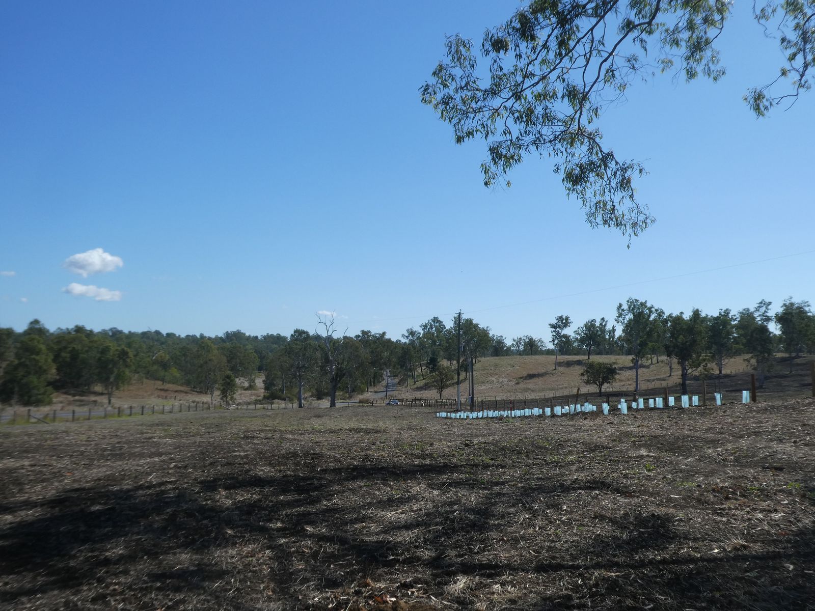 Lot 23 Walla Road, Morganville QLD 4671, Morganville - Thumbnail 8