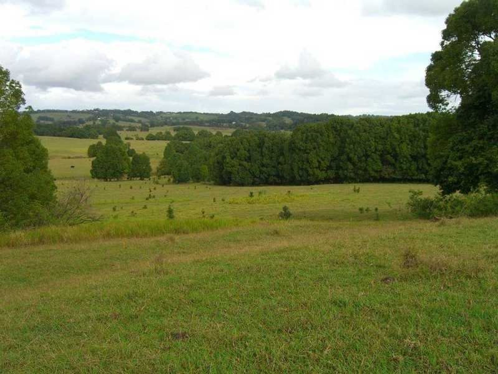Lot 22 Lot 22 Booyong Road, Clunes - Thumbnail 7